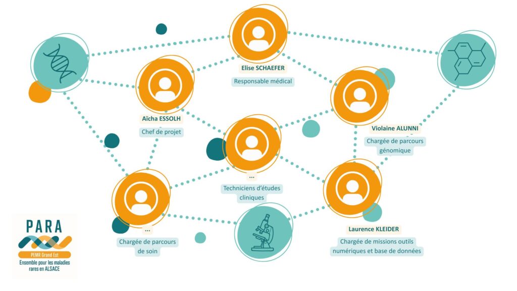 Image de l’équipe PARA Plateforme d’Expertise Maladies Rares Grand Est
